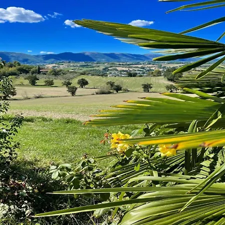 Vila Spoleto-poolside-sleeps-20pool, Jacuzzi, Gardens - Spectacular Grounds *