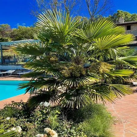 Vila Spoleto-poolside-sleeps-20pool, Jacuzzi, Gardens - Spectacular Grounds Spoleto